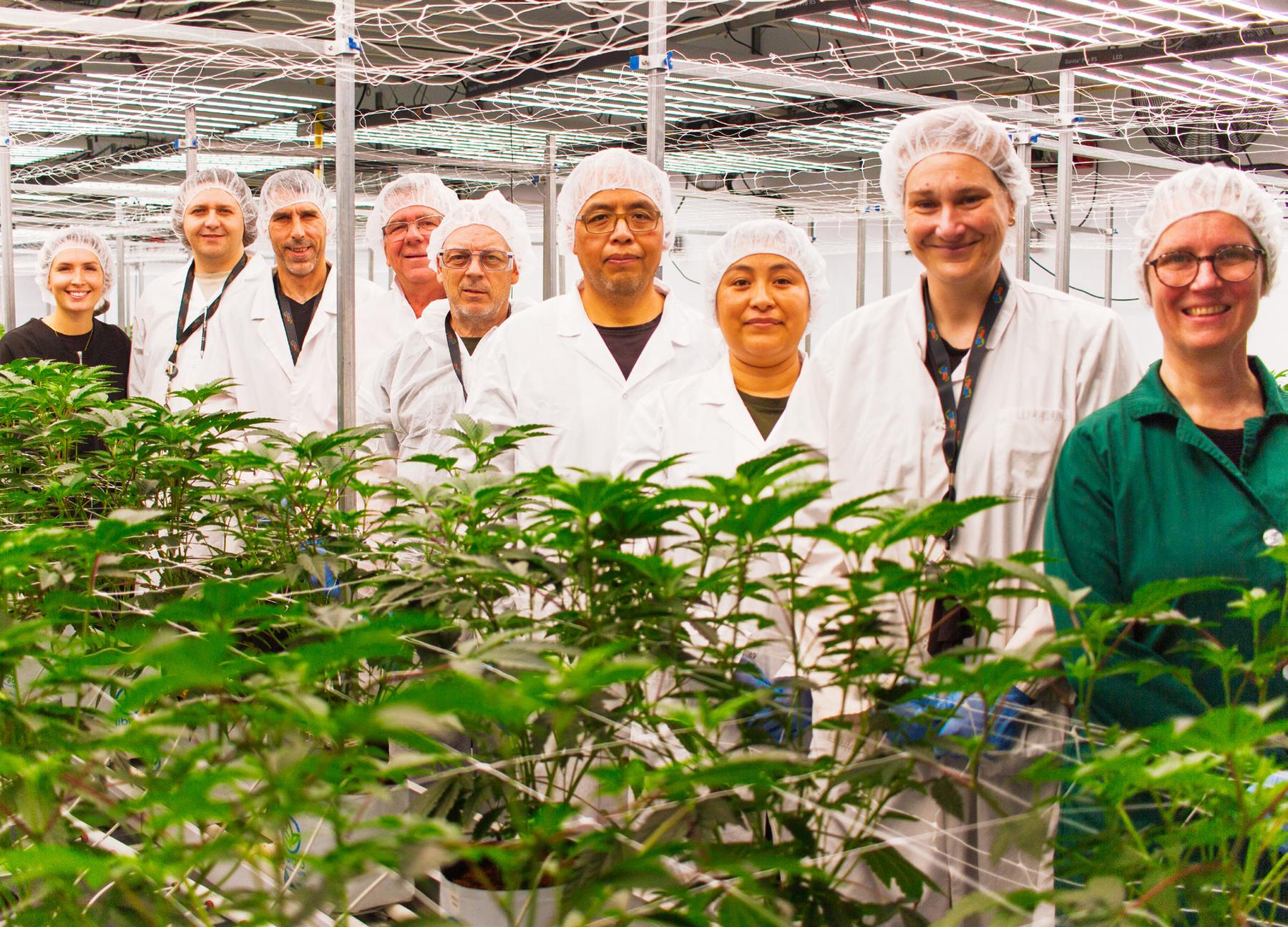 L'équipe Seaweed dans la salle de floraison